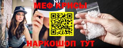 мет Кингисепп