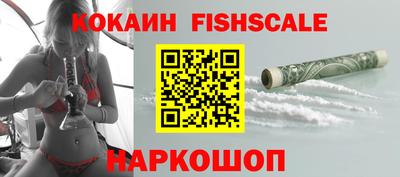 мет Кингисепп