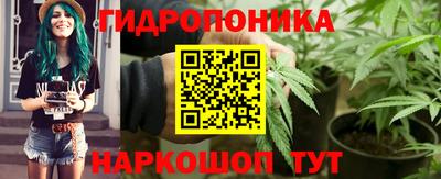 мет Кингисепп