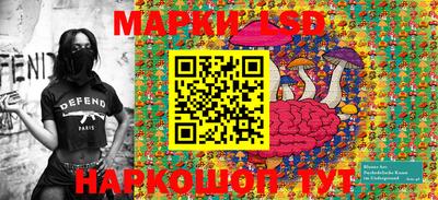 мет Кингисепп