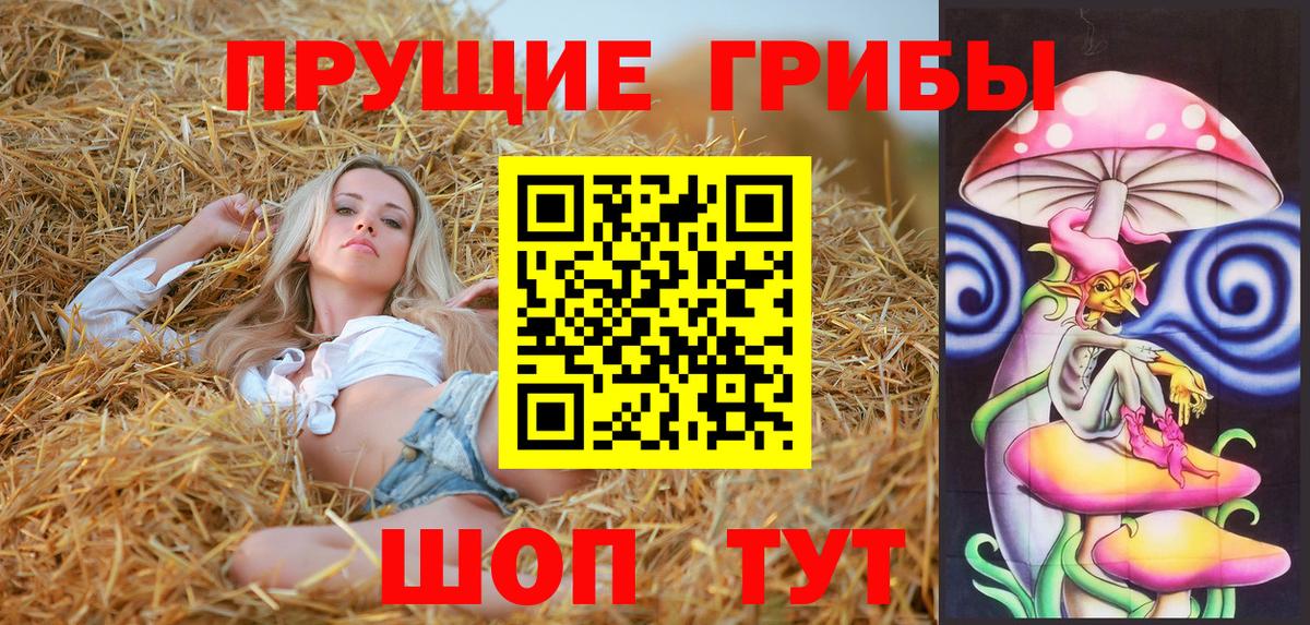 Псилоцибиновые грибы прущие грибы Видное