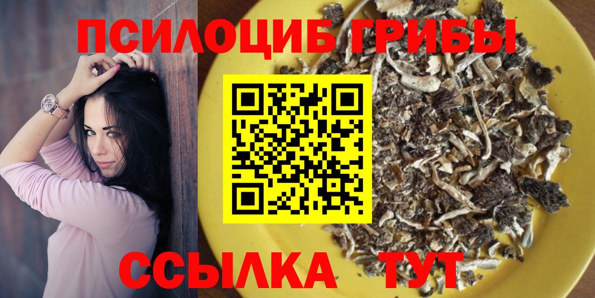 Галлюциногенные грибы мицелий  Вход с VPN  купить наркотик  Видное 